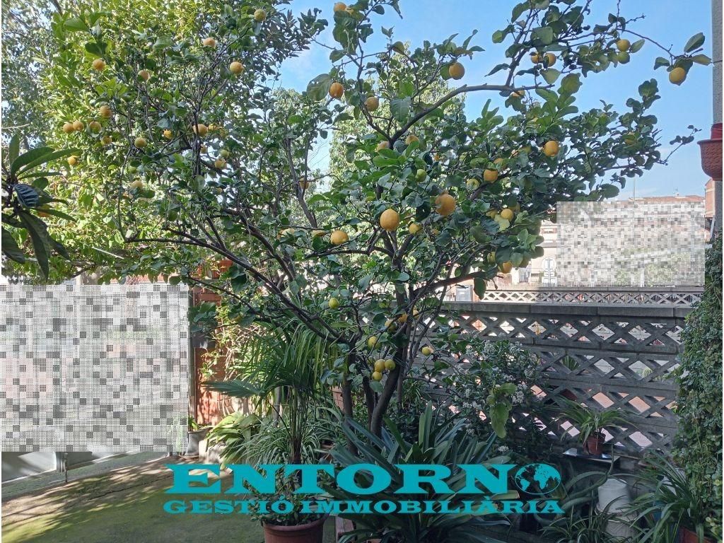 Garden of House or chalet for sale in Mollet del Vallès  with Heating, Private garden and Terrace