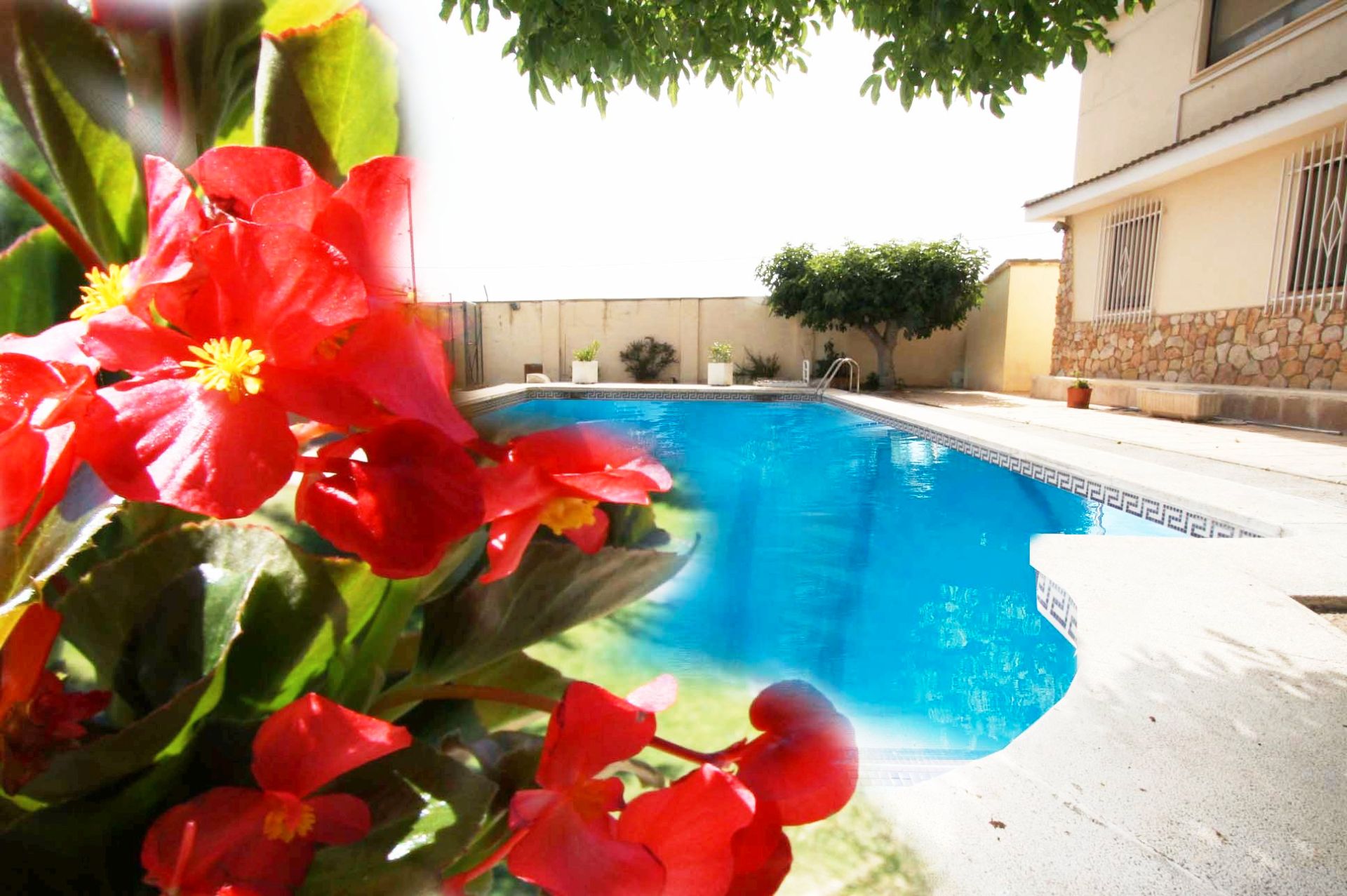 Swimming pool of House or chalet for sale in  Albacete Capital  with Air Conditioner, Heating and Terrace