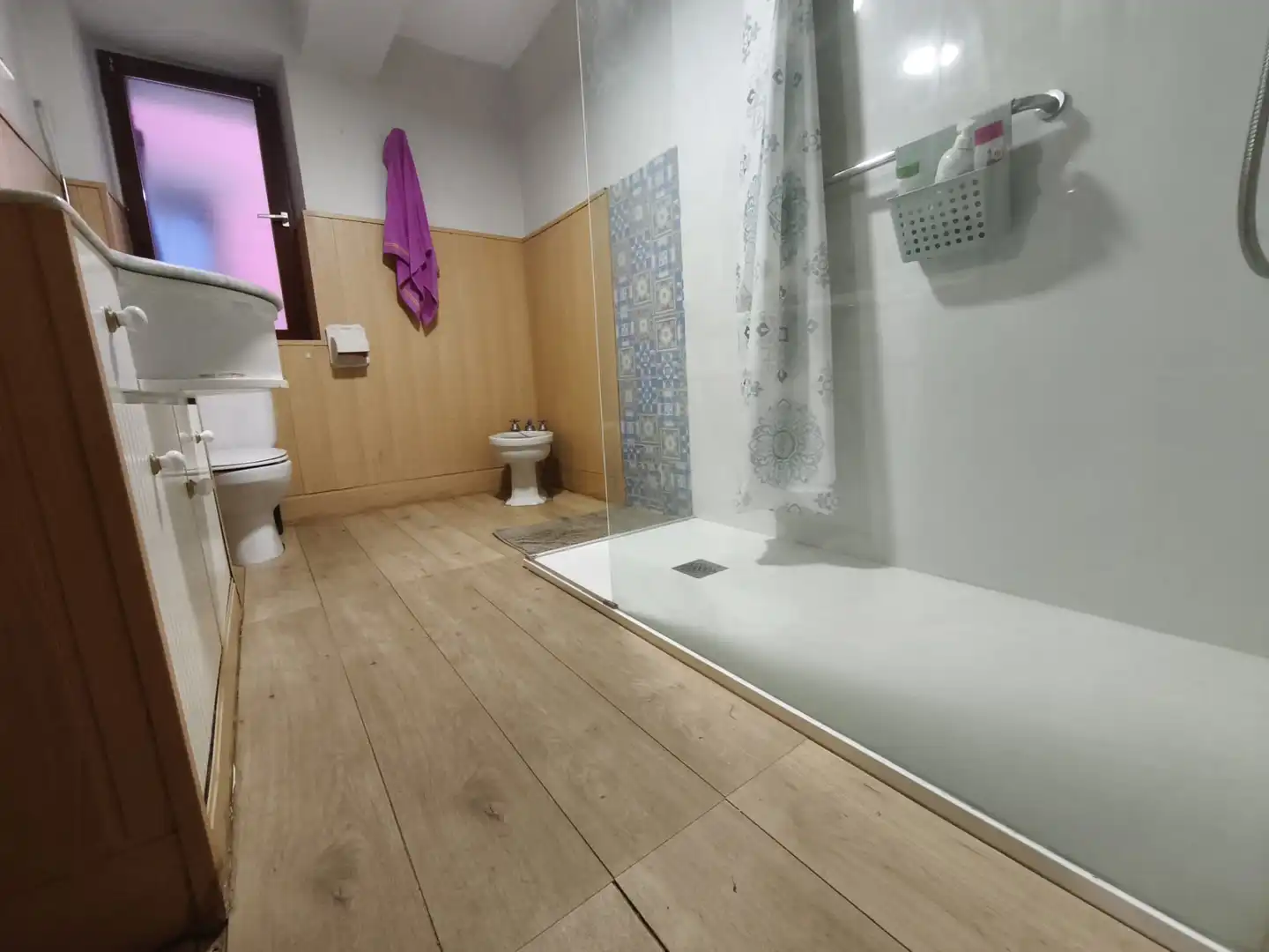 Bathroom of Detached homes for sale in Altsasu / Alsasua  with Balcony