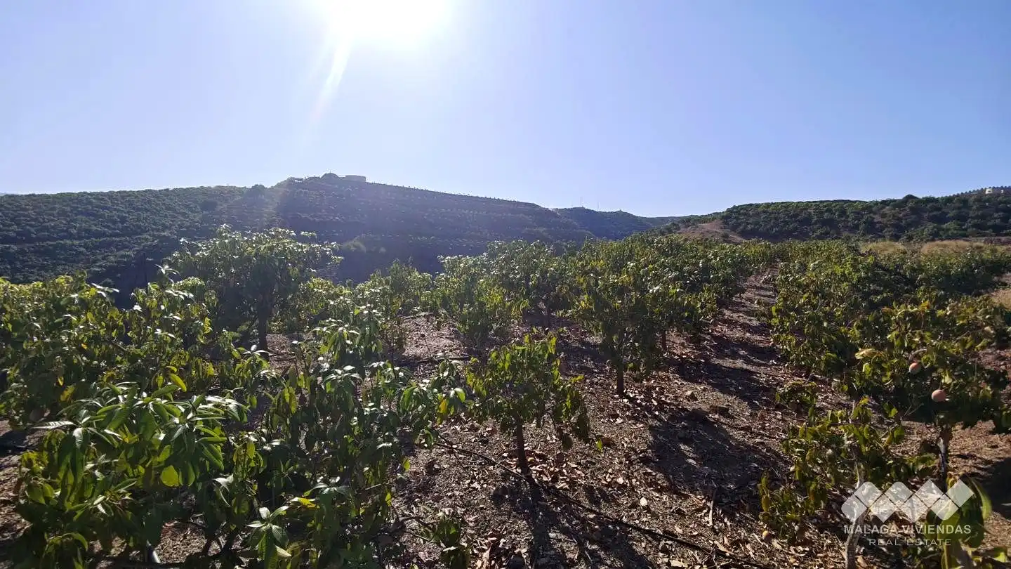 Terreno rústico en venta en Diseminado Atalaya Baja, imagen 9