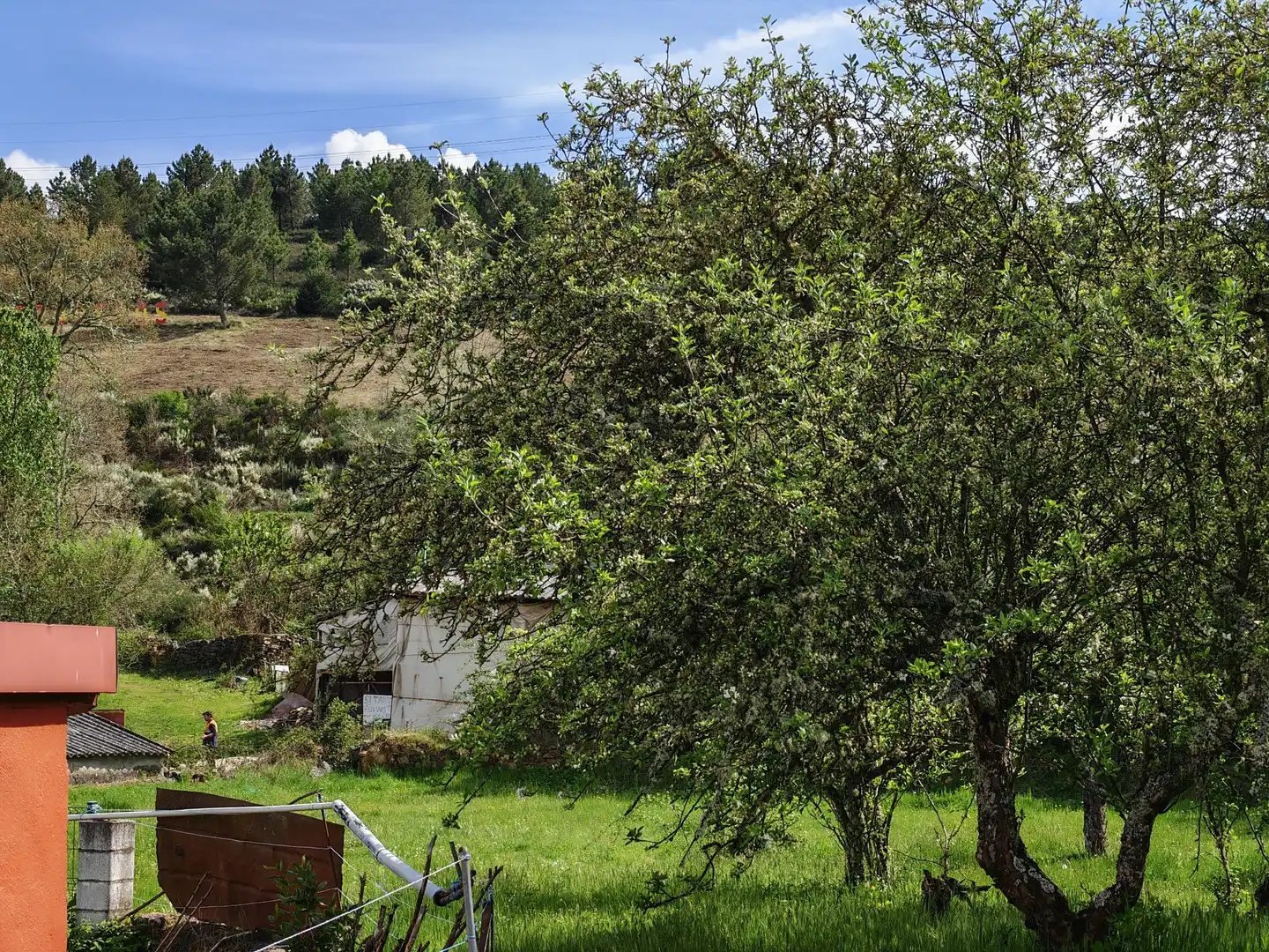 Garden of Residential for sale in Magaz de Cepeda