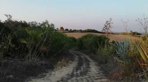 FINCA RÚSTICA EN LA ZONA DEL ABEJARUCO, imatge 5