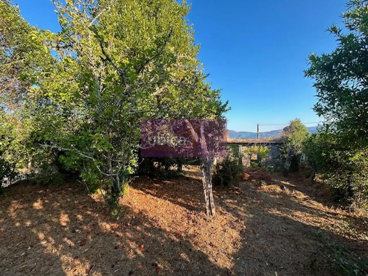 Houses for sale in Covelo, Pontevedra