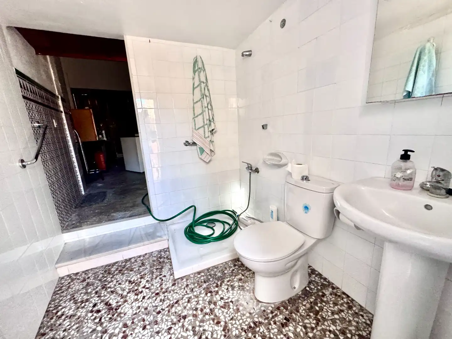 Bathroom of Houses for sale in Adra  with Terrace, Storage room and Furnished