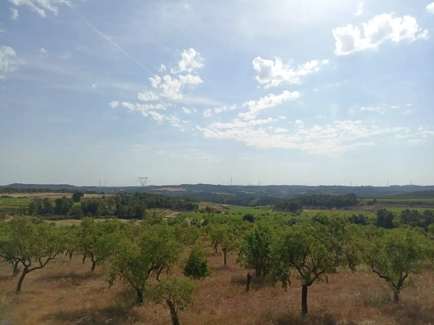 Finca rústica en venda en Batea