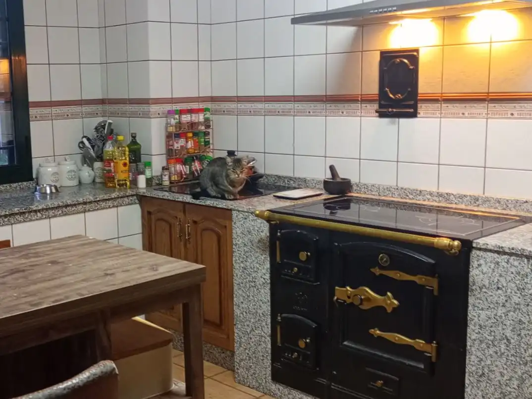 Kitchen of Houses for sale in Samos, Lugo