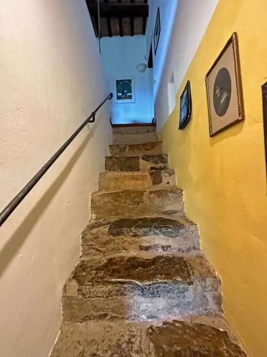 Villa avec jardin à vendre à Camino Carretera Bisbal, imagen 43