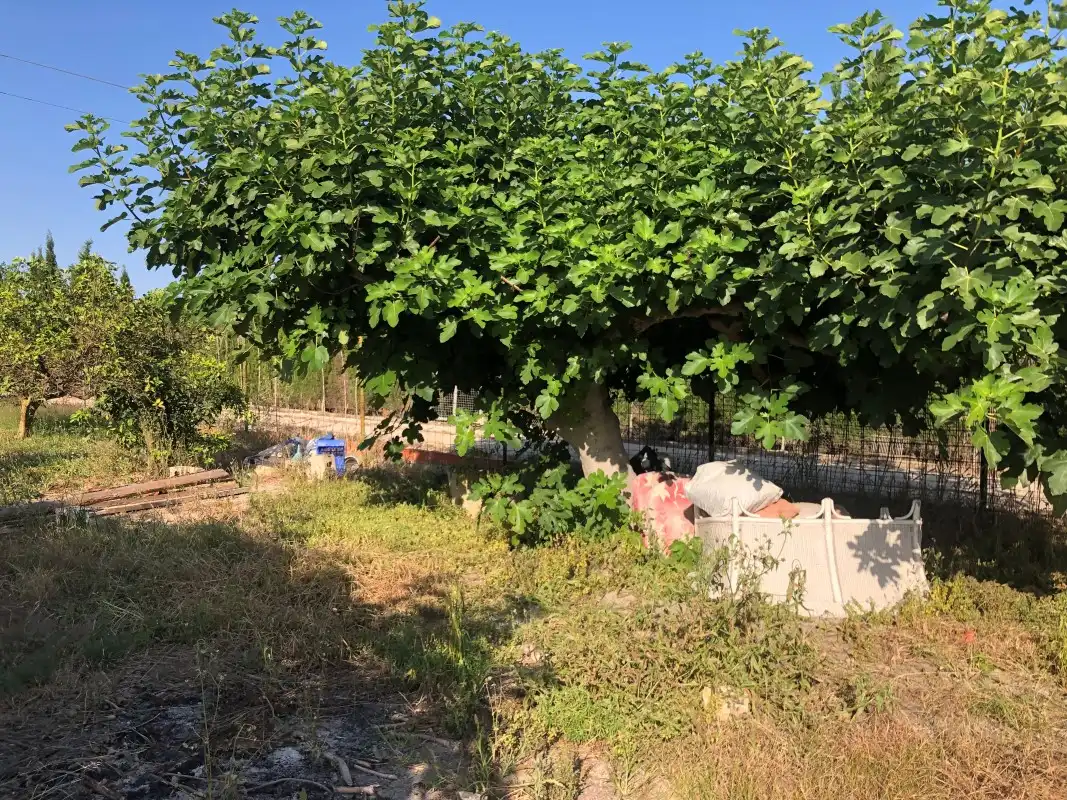 Terreno en venta en Gandia