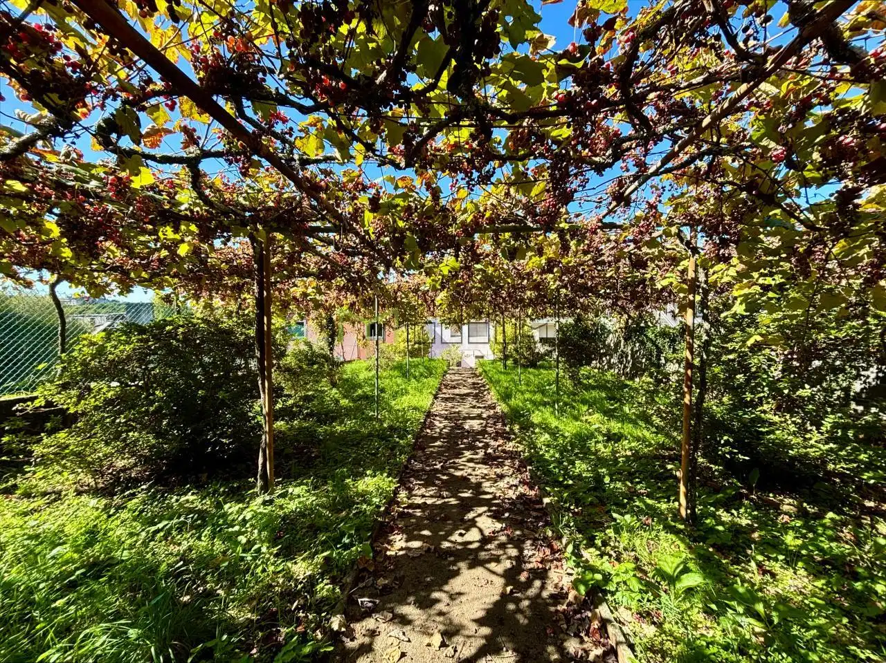 Jardín de Casa o chalet en venta en Santiago de Compostela  con Jardín privado, Terraza y Trastero