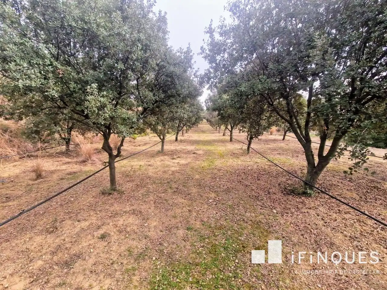 Land for sale in Castellar del Vallès