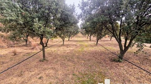Photo 3 of Land for sale in El Racó - Sant Feliu del Racó, Castellar del Vallès