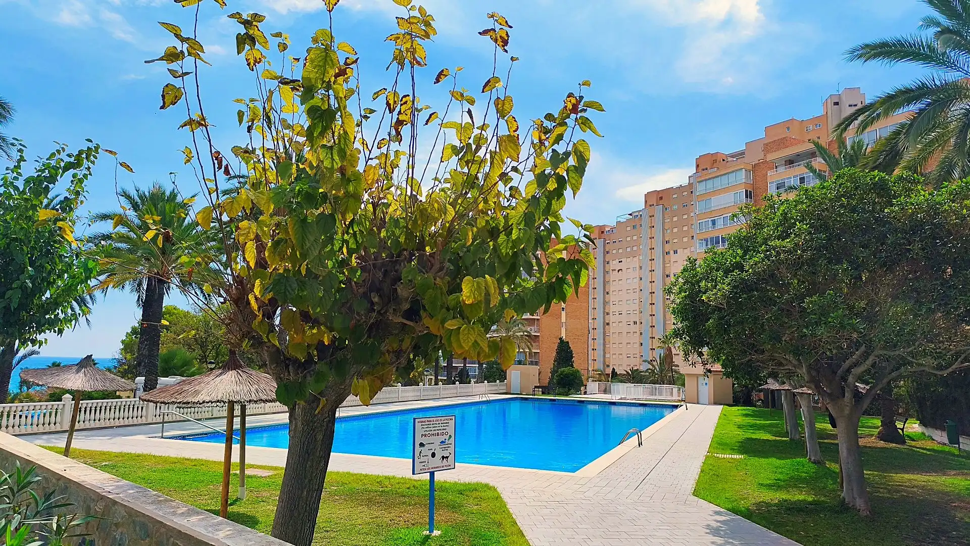 Swimming pool of Flat for sale in El Campello  with Heating, Terrace and Swimming Pool
