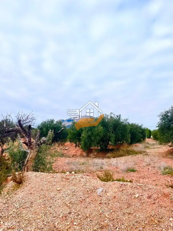 Residential land for sale in Vélez-Rubio, imagen 9