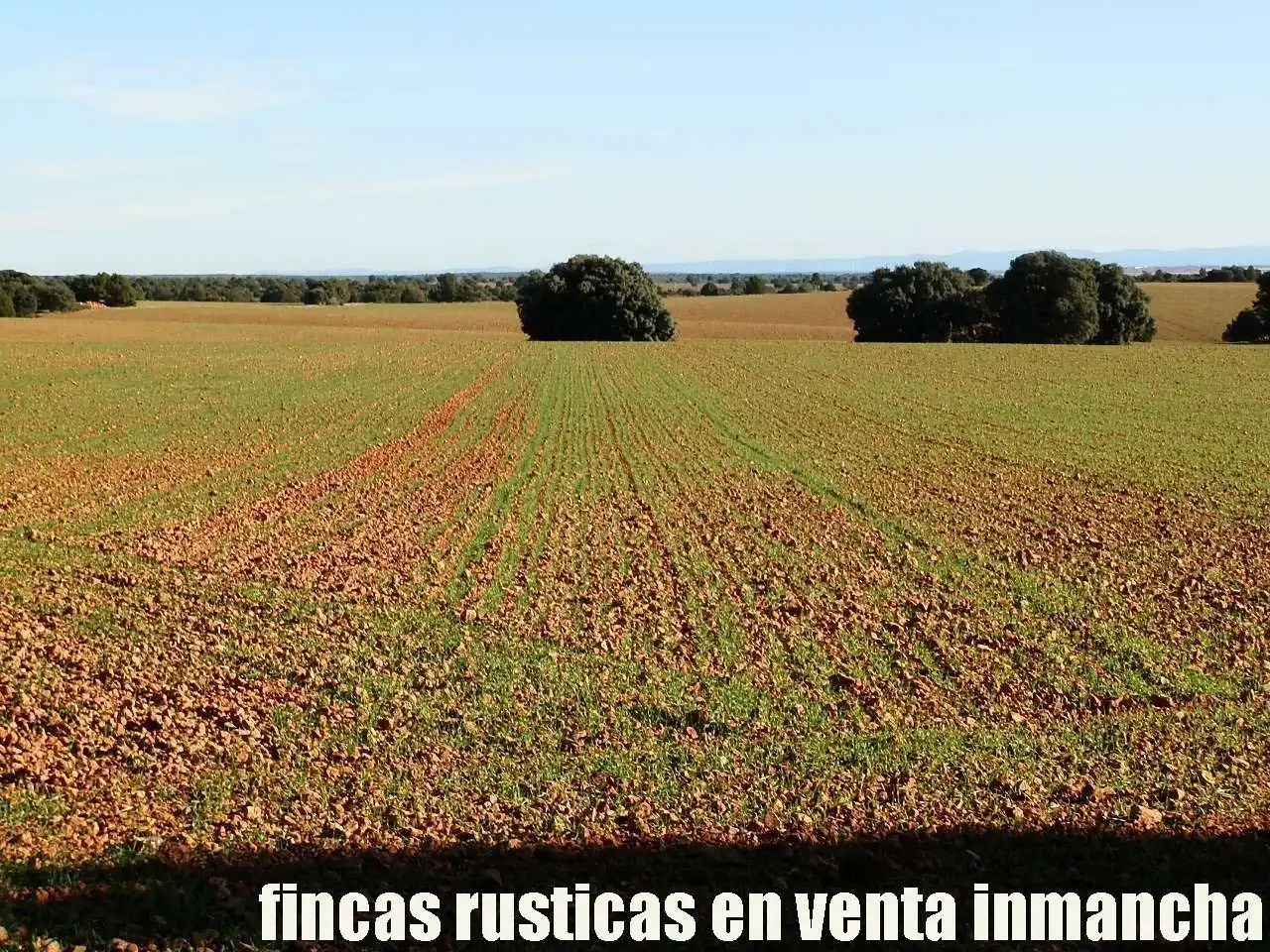 Lands and plots for sale in Ossa de Montiel, imagen 14
