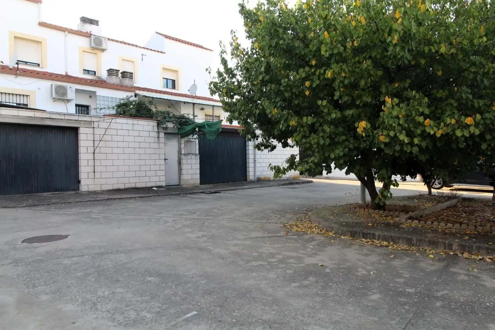 Parking of Detached homes for sale in Olivenza