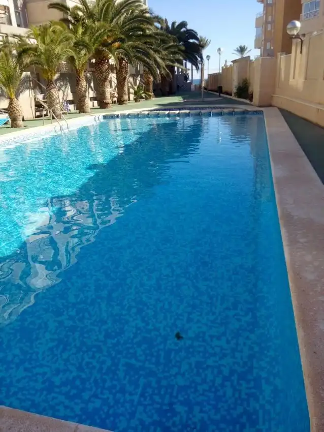 Altri in vendita a Campello Playa, imagen 2