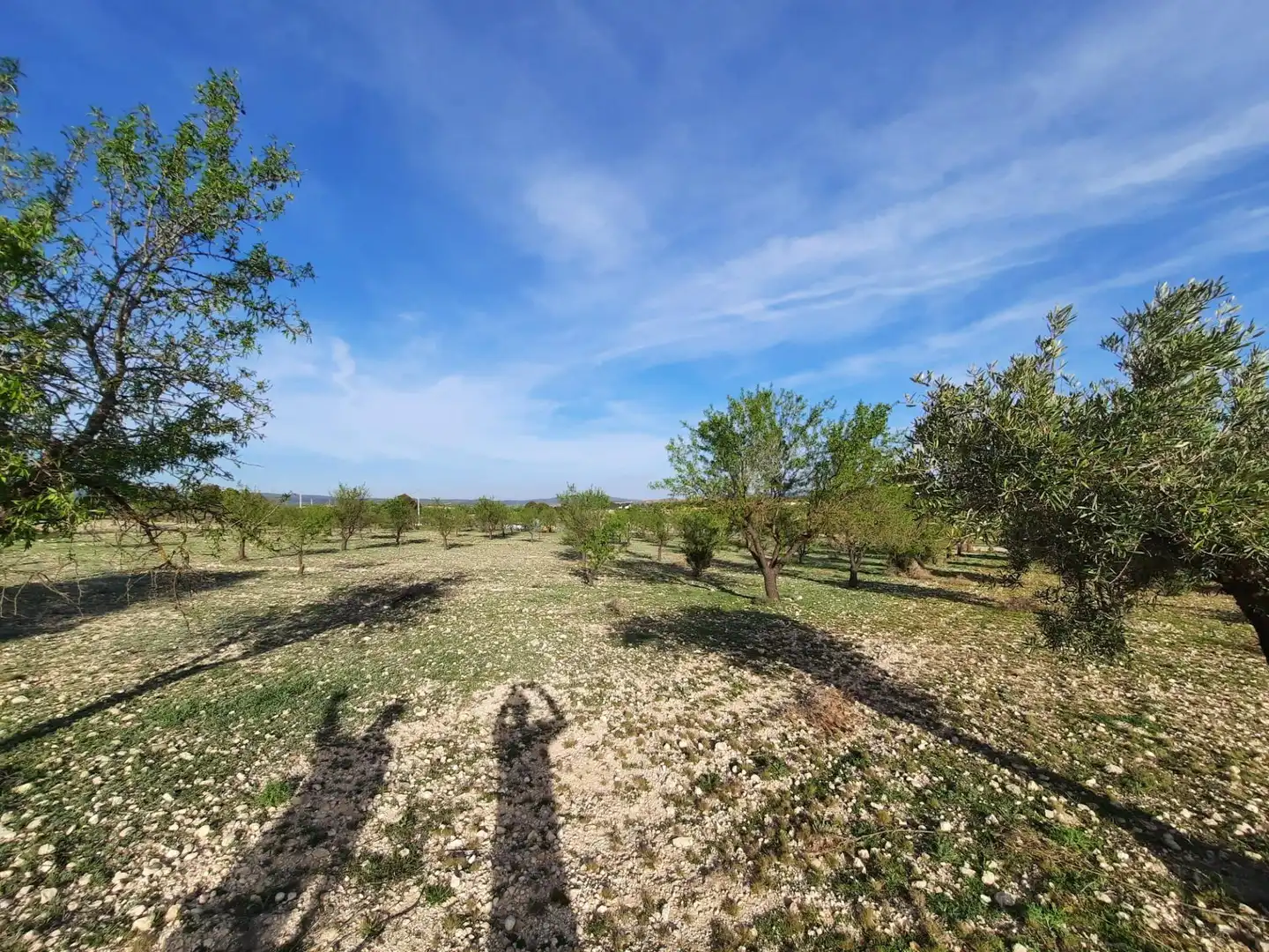 Rustikales Grundstück zum Verkauf in Almansa, imagen 5