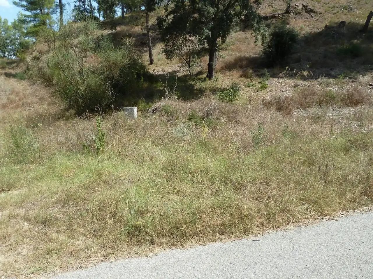 Terreno residenziale in vendita a Vallesa, imagen 29