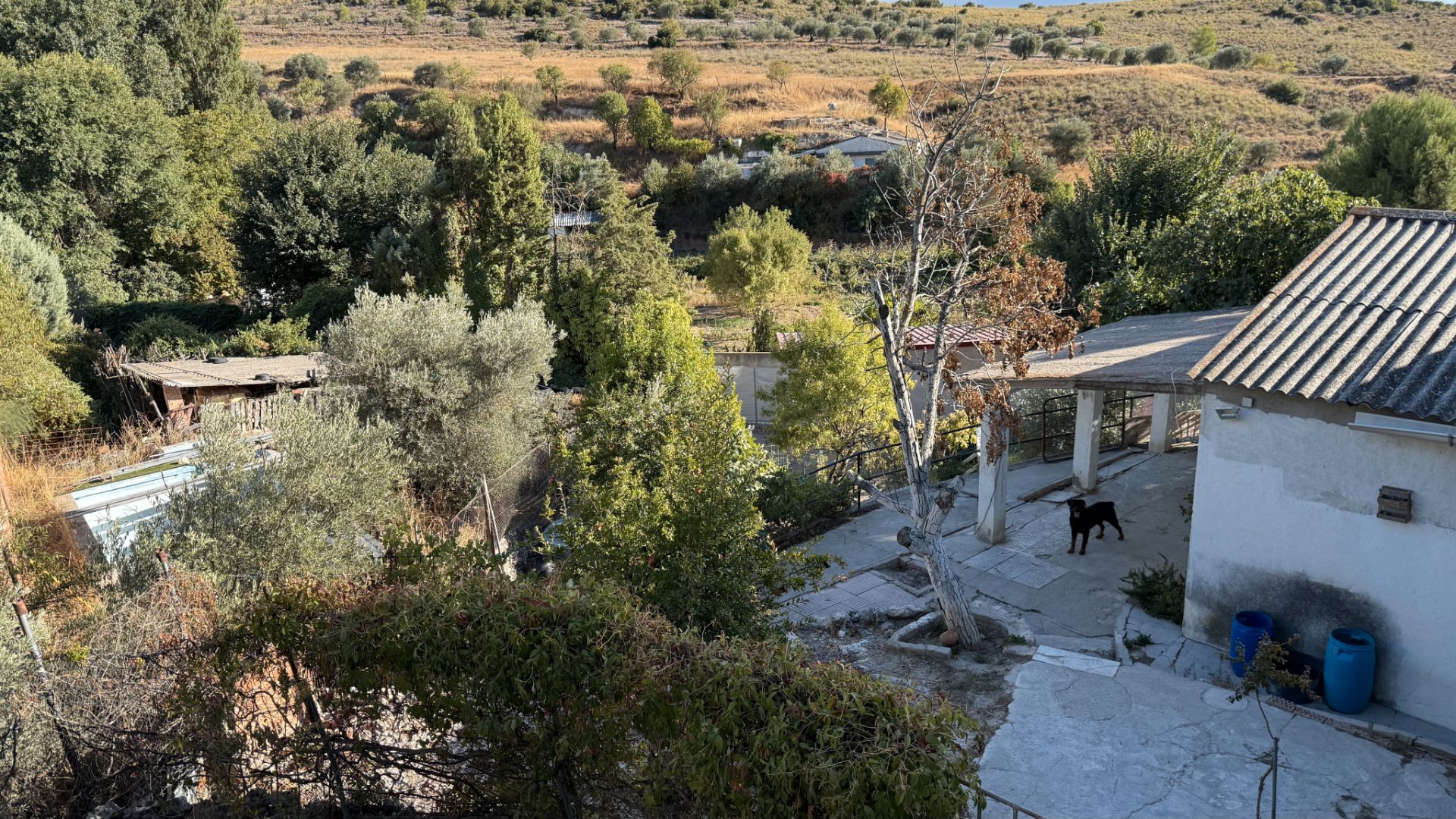 Garden of House or chalet for sale in Arganda del Rey  with Private garden, Terrace and Swimming Pool