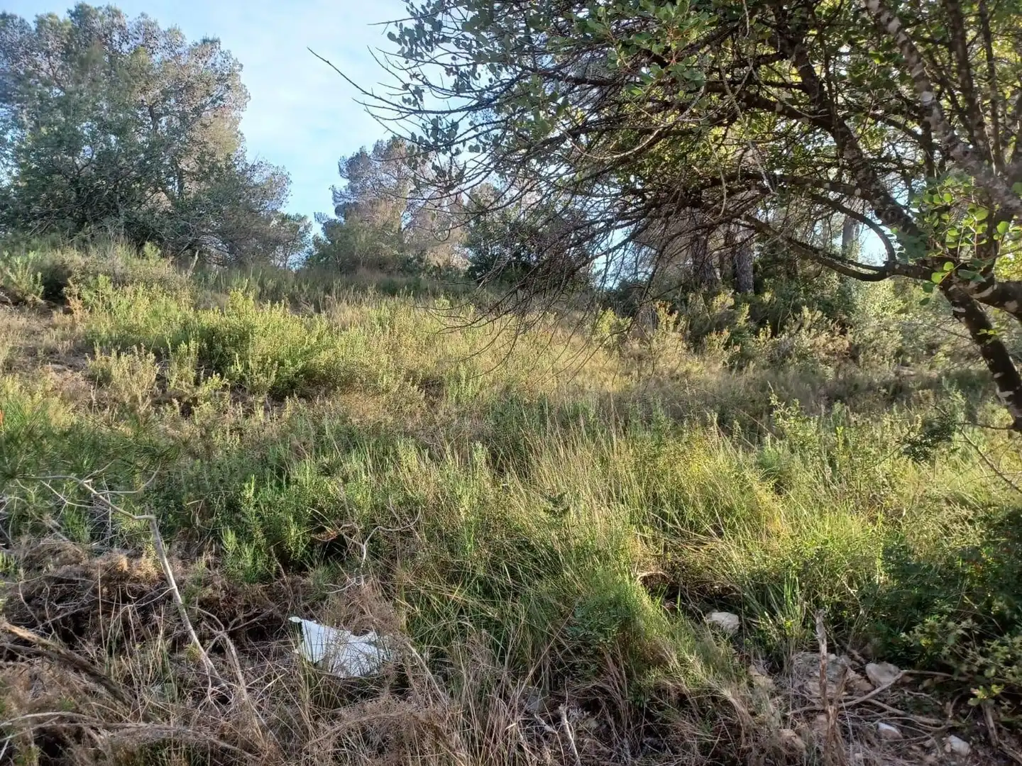 Terreno residencial en venta en dels Morts, imagen 8