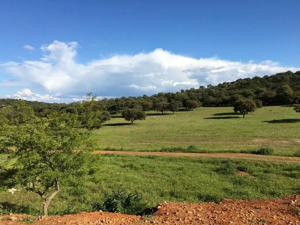 Casa rústica en venda a Almodóvar del Campo, imagen 4