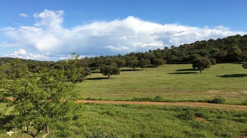 Foto 4 de Finca rústica en venda a Almodóvar del Campo, Ciudad Real
