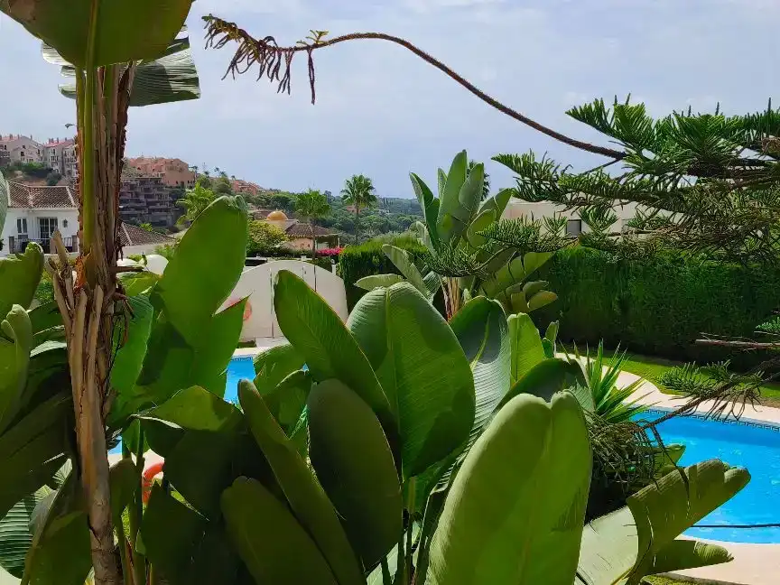 Garden of Flat for rent in Elviria - Cabopino