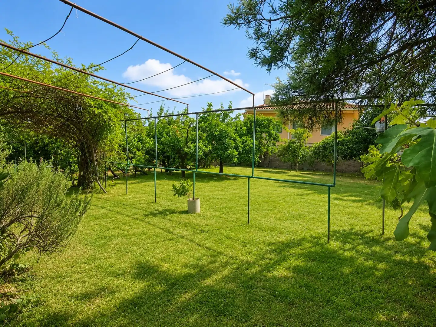 Garden of Houses for sale in Palomeque  with Private garden, Terrace and Storage room