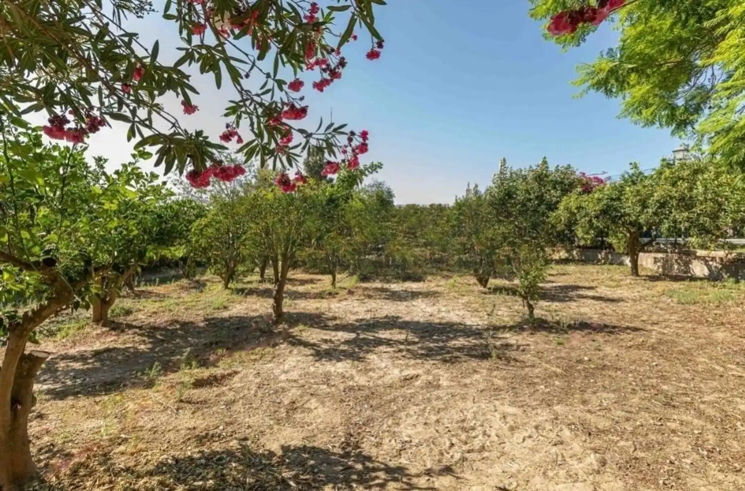 Finca rústica en venda a El Rompido