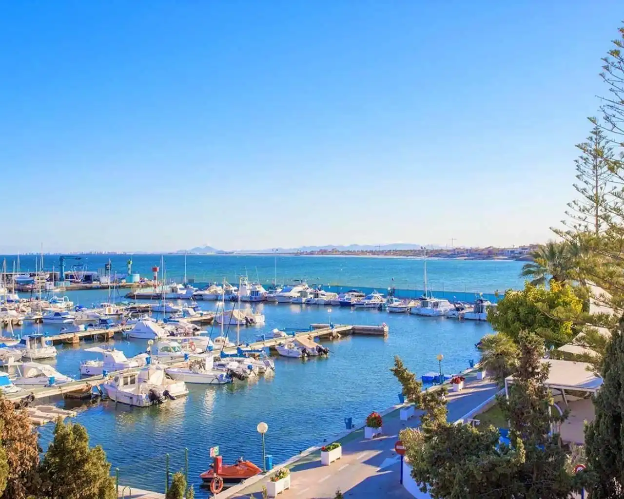 Apartamento con piscina en venta en Mil Palmeras, imagen 14