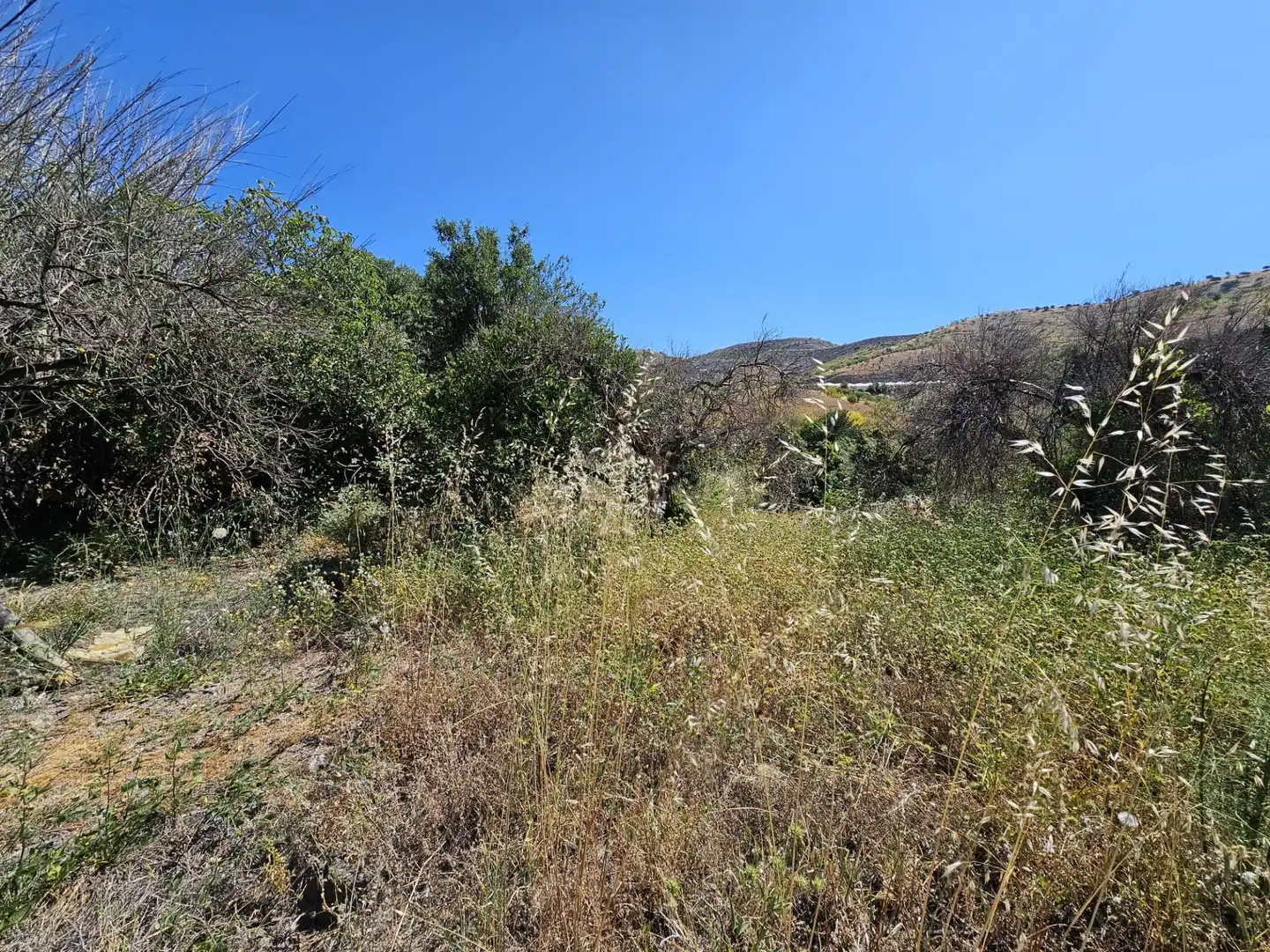 Country homes for sale in Lújar  with Private garden
