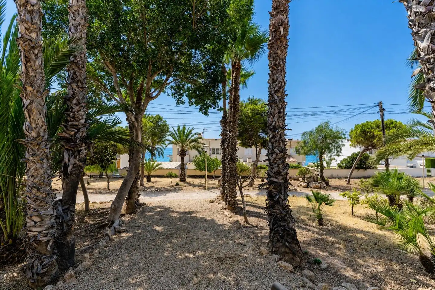Vista exterior de Casa o xalet en venda en Santa Pola amb Aire condicionat, Jardí privat i Terrassa