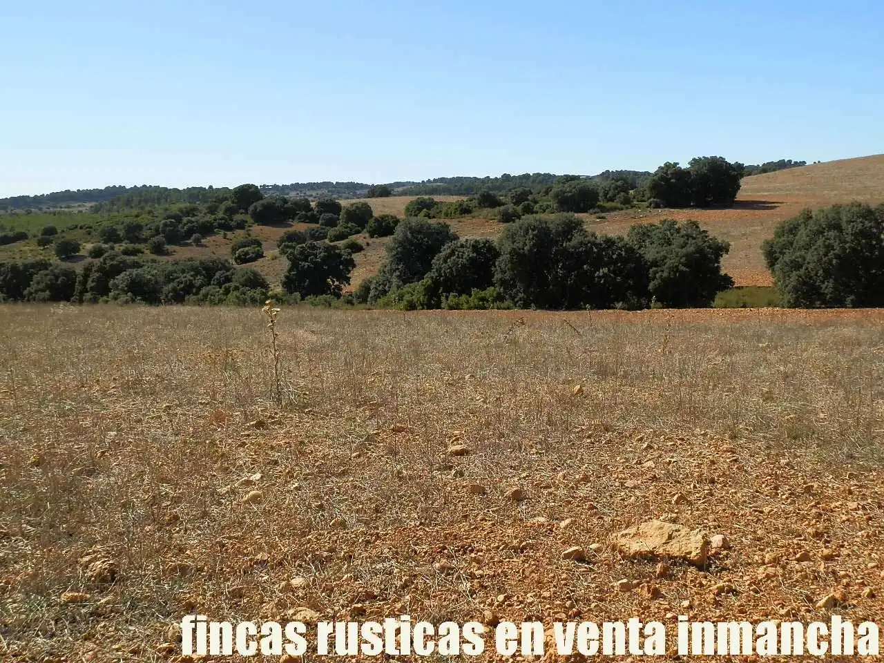 Terreno en venta en Albacete