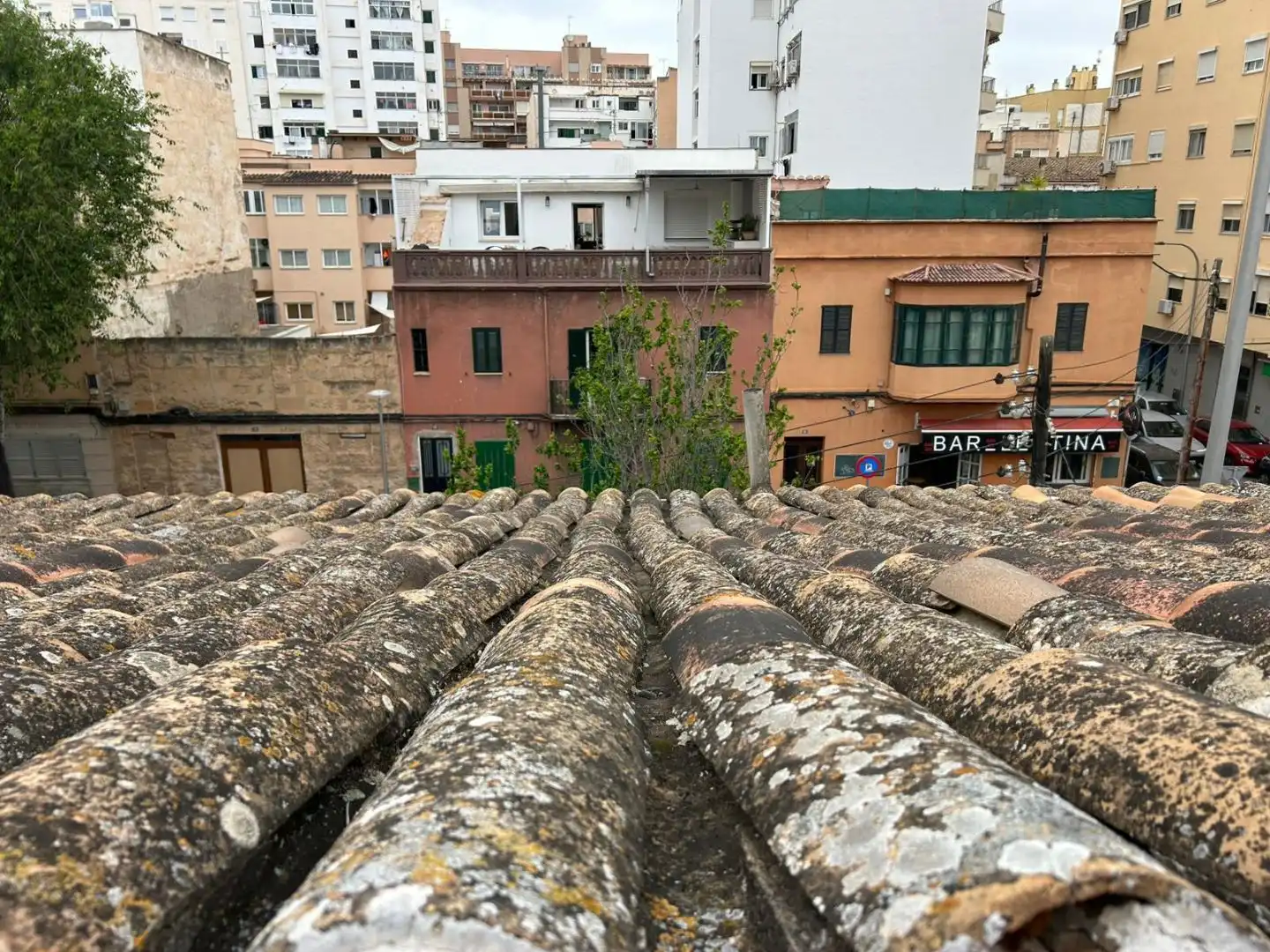 Piso con jardín en venta en Calle Emili Darder Batle 37A