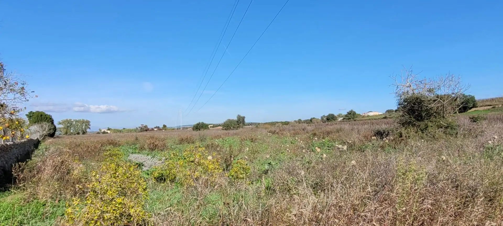 Terreno rústico en venta en Manacor Centre, imagen 10
