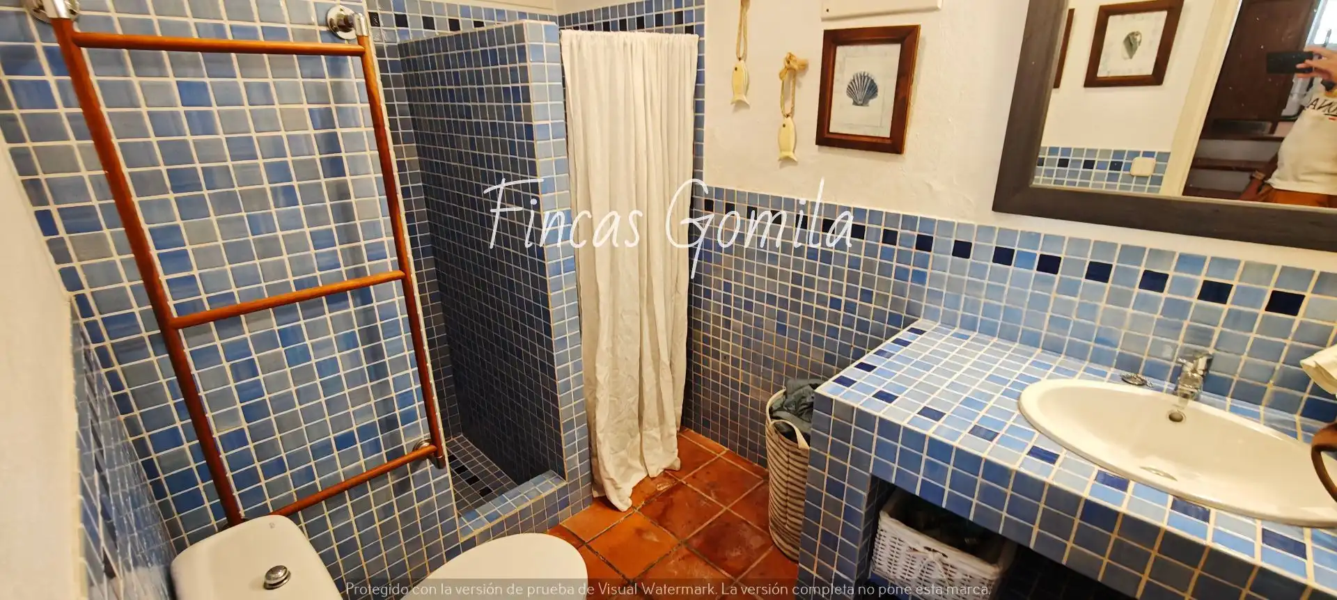 Bany de Casa o xalet en venda en Alaior amb Jardí privat, Terrassa i Piscina