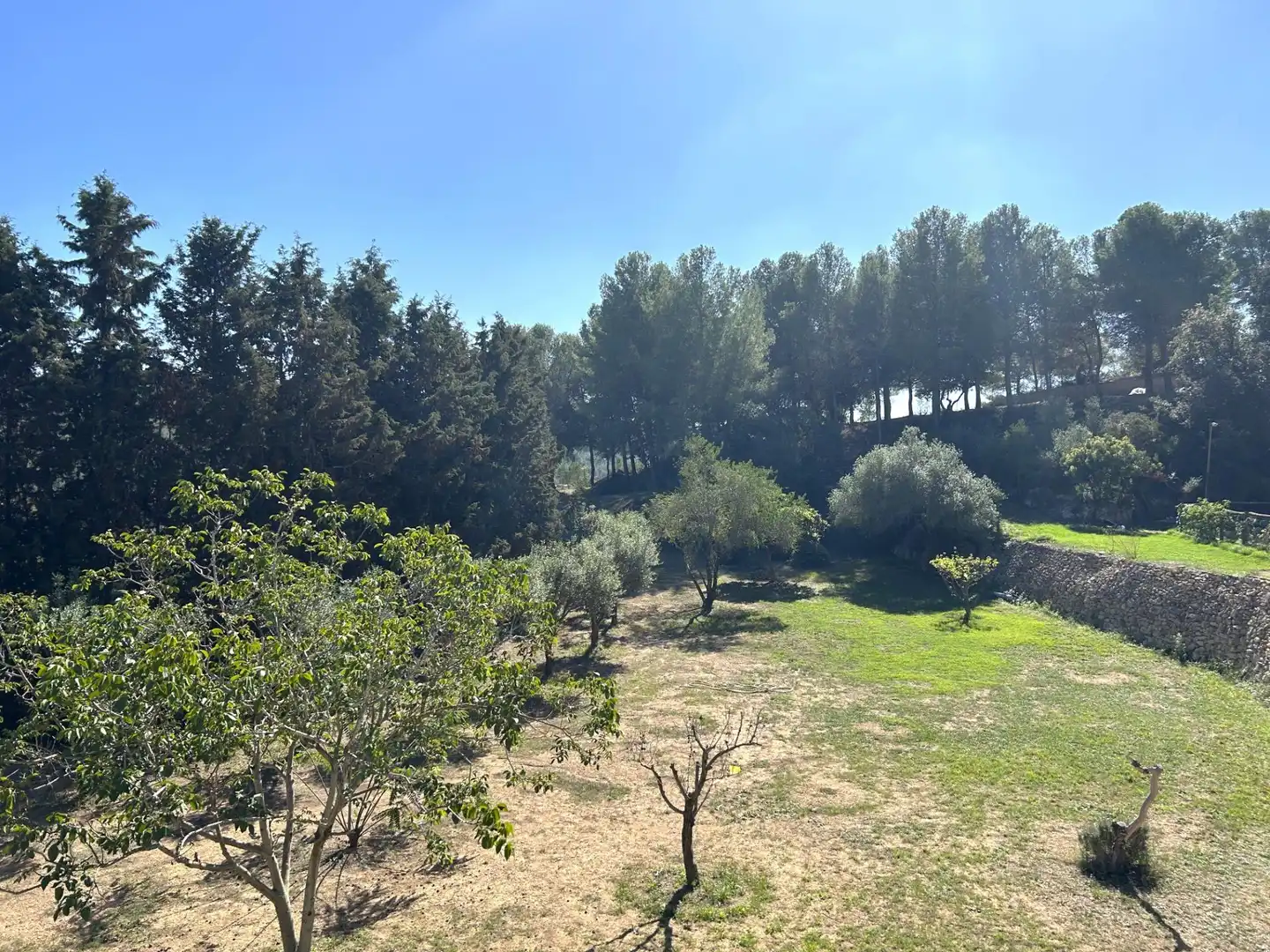 Villa avec piscine à vendre à Albinyana, imagen 8