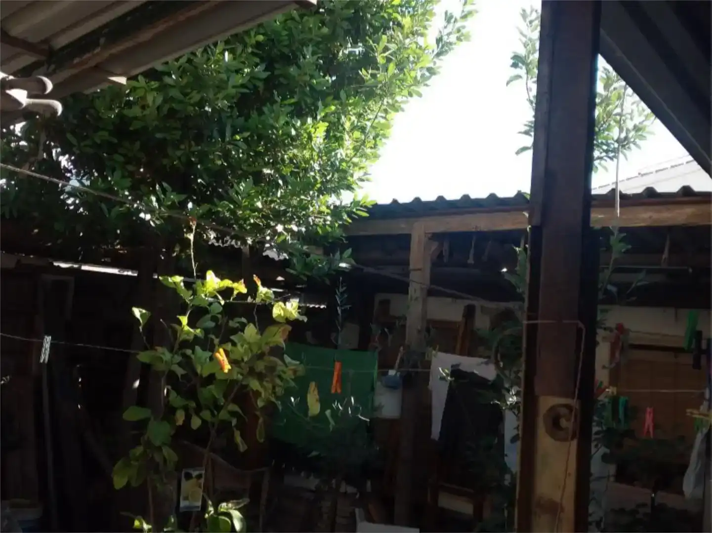 Jardín de Piso en venta en Alameda con Balcón