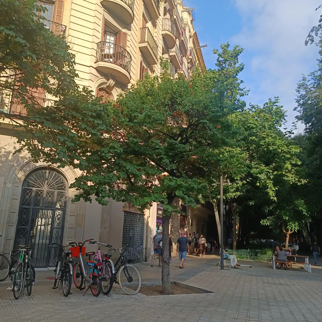 Attic for rent in Carrer del Comte Borrell, La Nova Esquerra de l'Eixample
