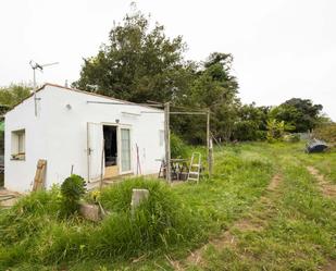 Garden of Land for sale in Tacoronte