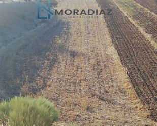 Land for sale in Magacela