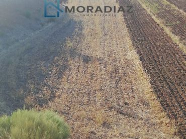 Terreny rústic en venda a Magacela