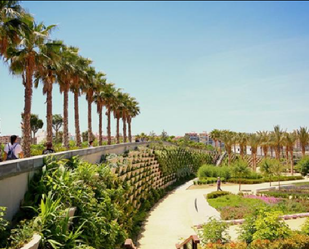 Garden of Residential for sale in  Valencia Capital