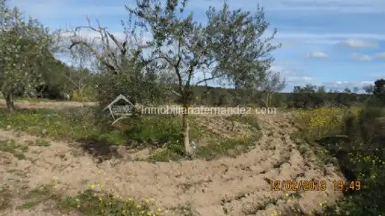 Terreni e lotti in vendita a Arroyo de la Luz, imagen 9