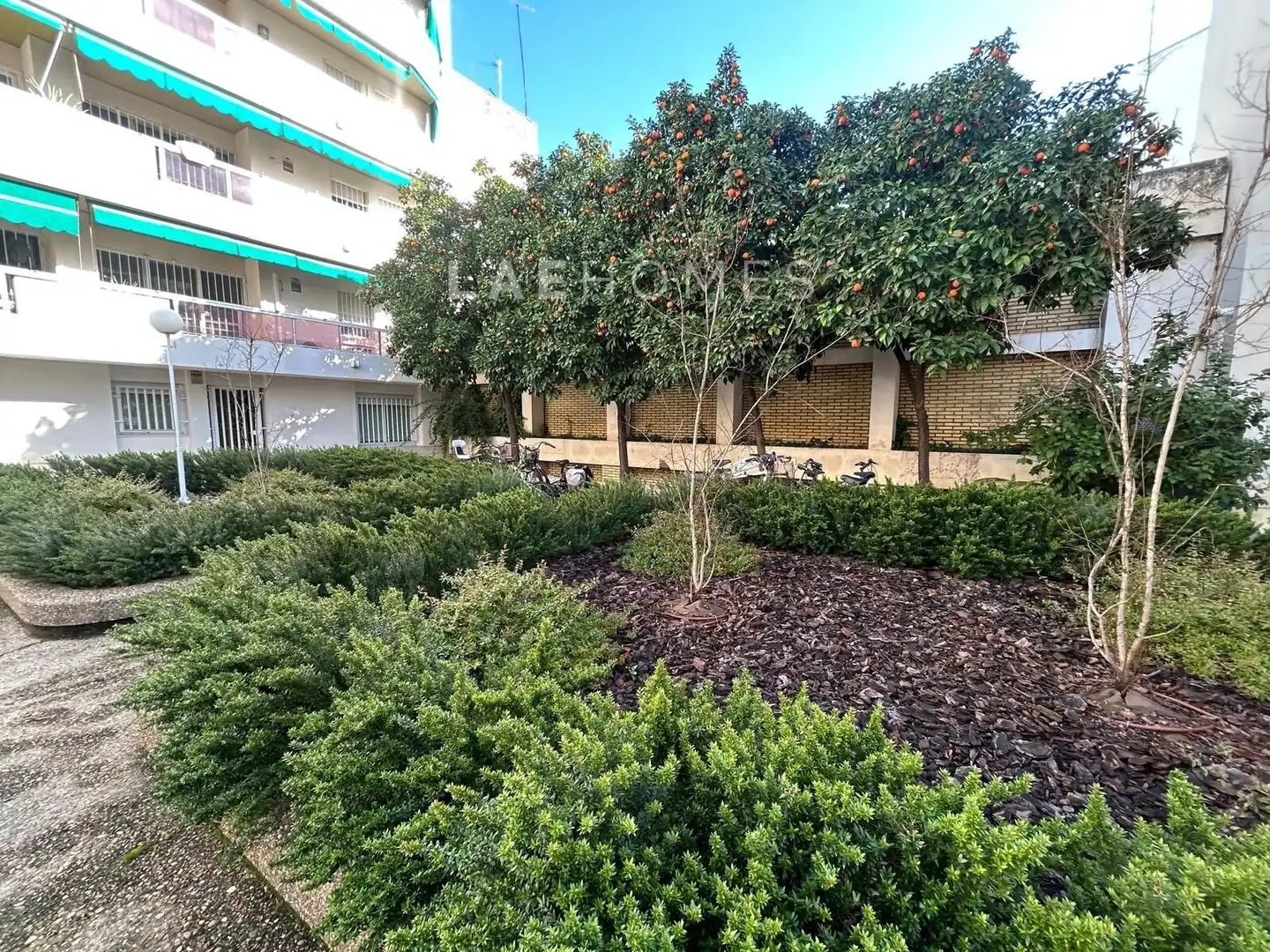 Flat for rent in San Bernardo