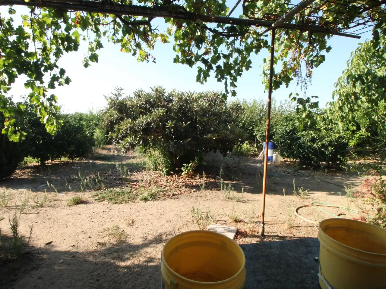 Terreno rustico in vendita a Calle Poniente 13, imagen 37