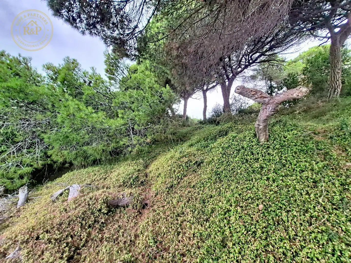 Terreno residenziale in vendita a Camino Vell de Caldes, imagen 12