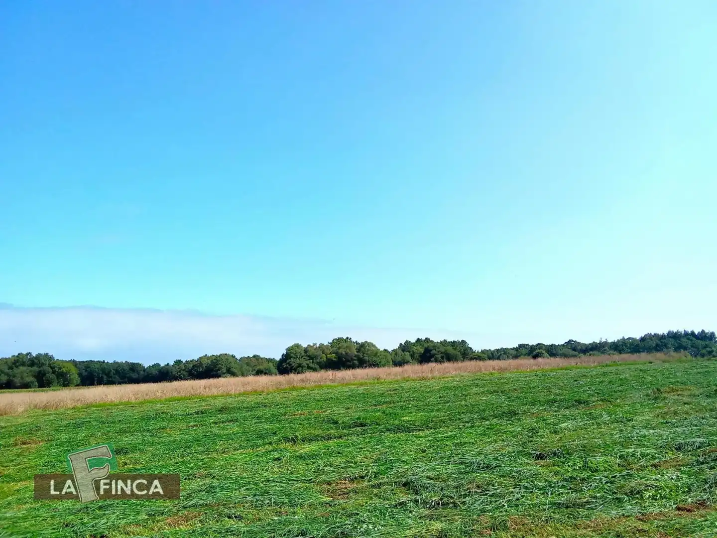 Casa o xalet en venda en El Franco 