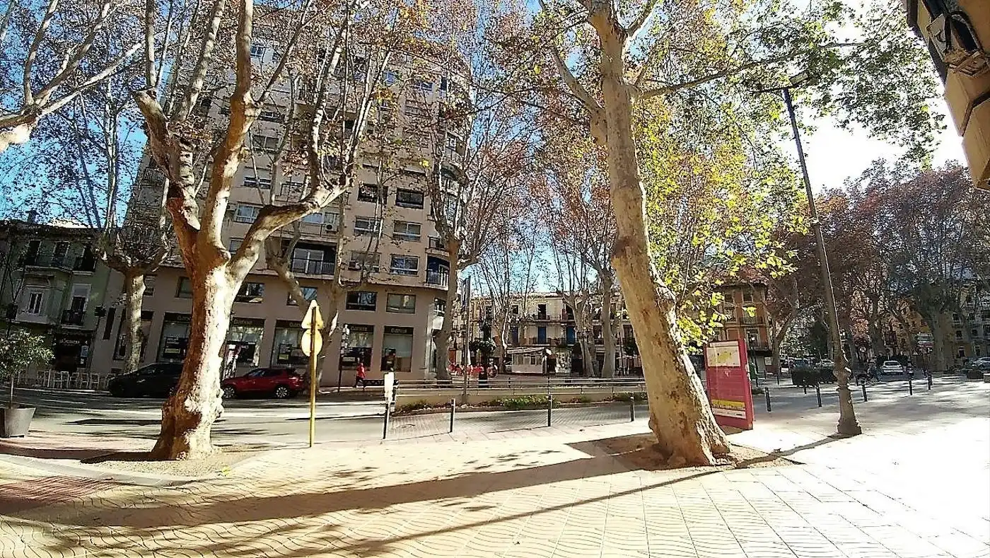Gewerbefläche zur Miete in Xàtiva, imagen 3