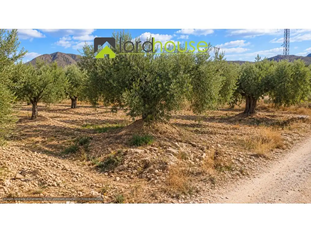Casa o xalet en venda en Lorca